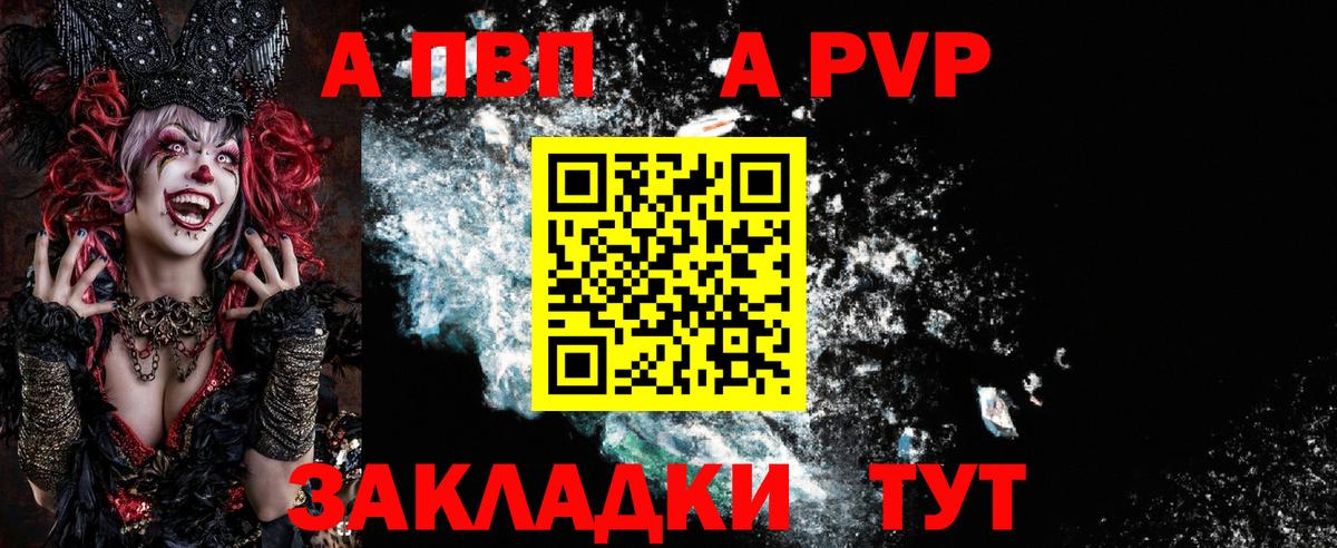 A PVP СК Сыктывкар