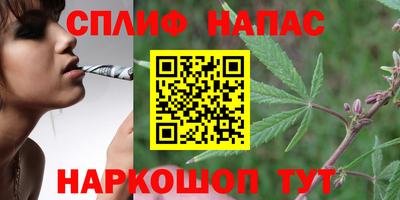 гидра Новокубанск