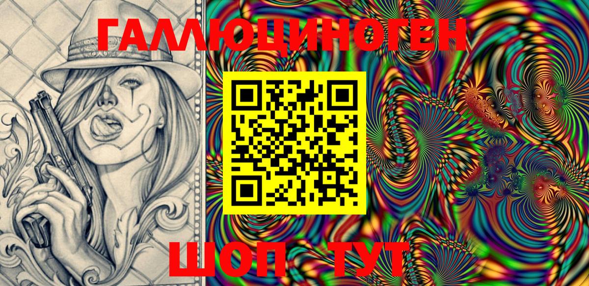 Псилоцибиновые грибы Psilocybe Сыктывкар