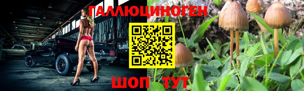 Сыктывкар  Псилоцибиновые грибы Psilocybe  Вход с VPN 